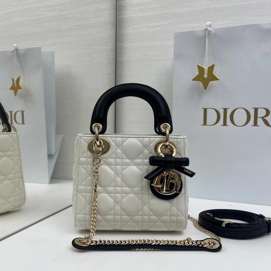 디올 레이디백 램스킨 미니 17cm 조나단 앤더슨