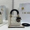 디올 레이디백 램스킨 미니 17cm 조나단 앤더슨