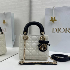 디올 레이디백 램스킨 미니 17cm 조나단 앤더슨