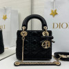 디올 레이디백 램스킨 미니 17cm 조나단 앤더슨