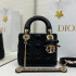 디올 레이디백 램스킨 미니 17cm 조나단 앤더슨