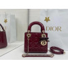 디올 레이디백 페이던트 미니 17cm 조나단 앤더슨