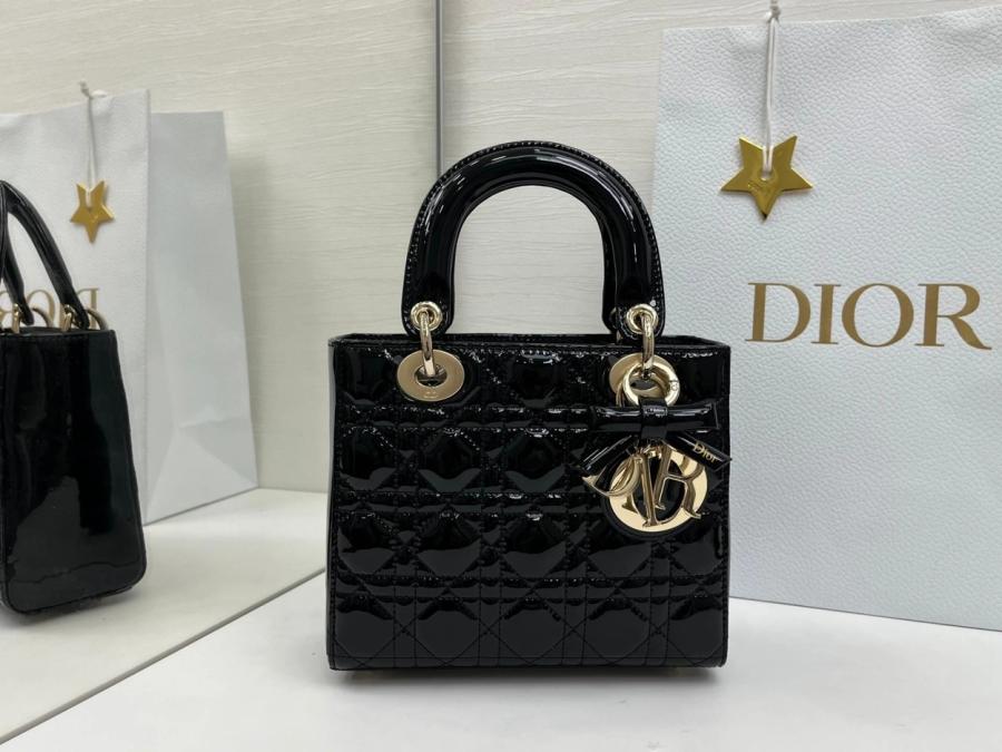 디올 레이디백 페이던트 스몰 20cm 조나단 앤더슨