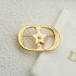 디올 CD 브로치